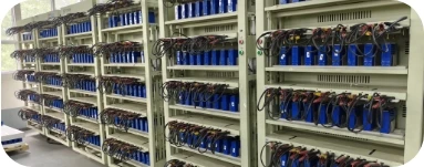 Battery management system function testing